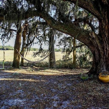 Secluded Tiny House By The Marsh With Hunting Island Beach Pass Frogmore エクステリア 写真