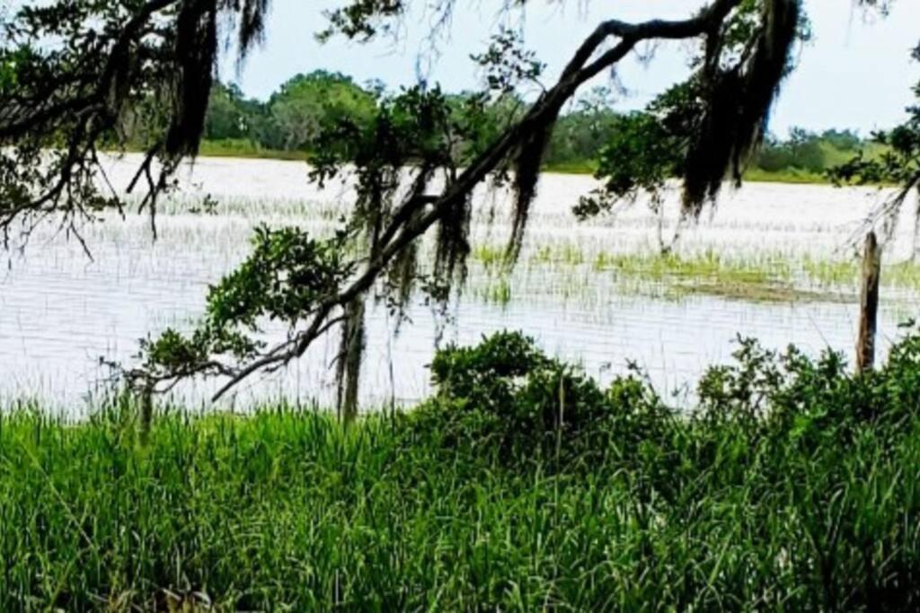 Secluded Tiny House By The Marsh With Hunting Island Beach Pass Frogmore エクステリア 写真