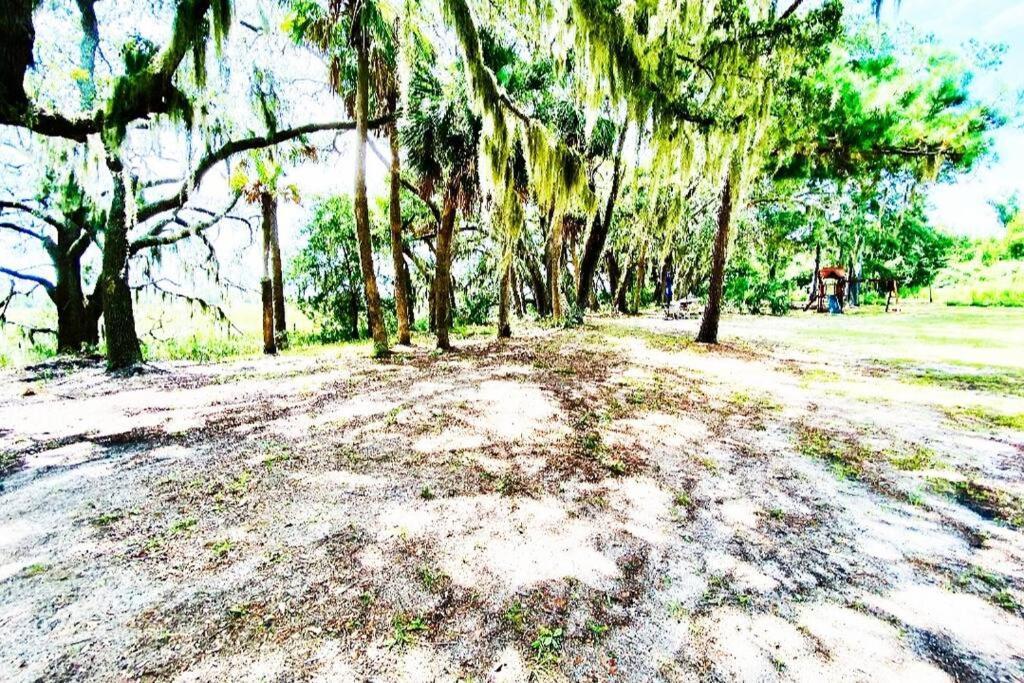 Secluded Tiny House By The Marsh With Hunting Island Beach Pass Frogmore エクステリア 写真