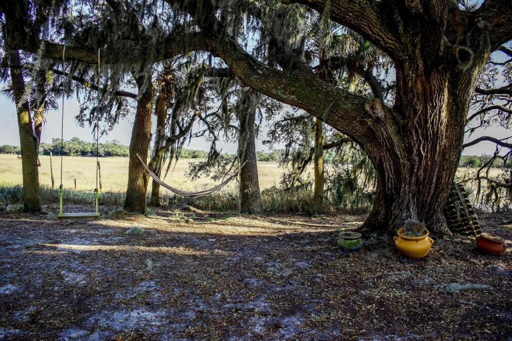 Secluded Tiny House By The Marsh With Hunting Island Beach Pass Frogmore エクステリア 写真